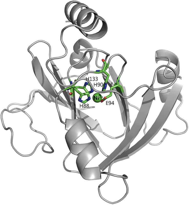 Fig. 9