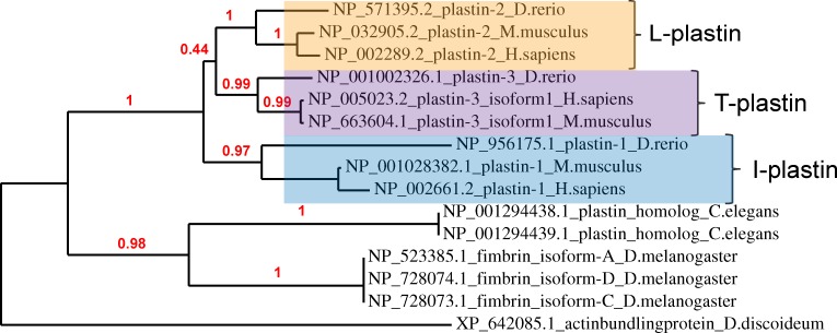 Fig 2