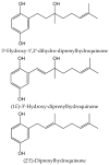 Figure 21