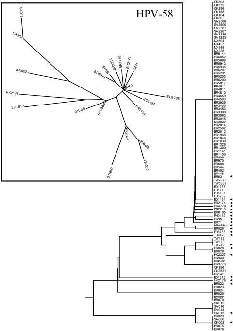 FIG. 6.