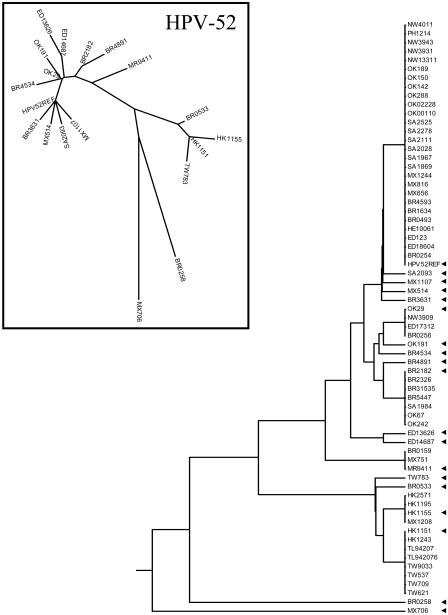 FIG. 5.