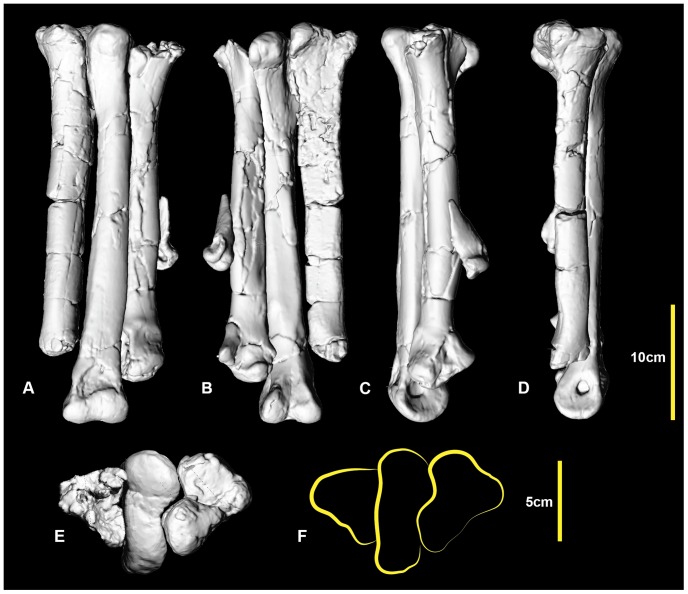 Figure 10