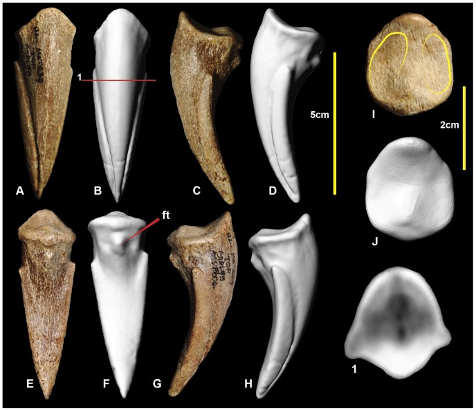 Figure 23