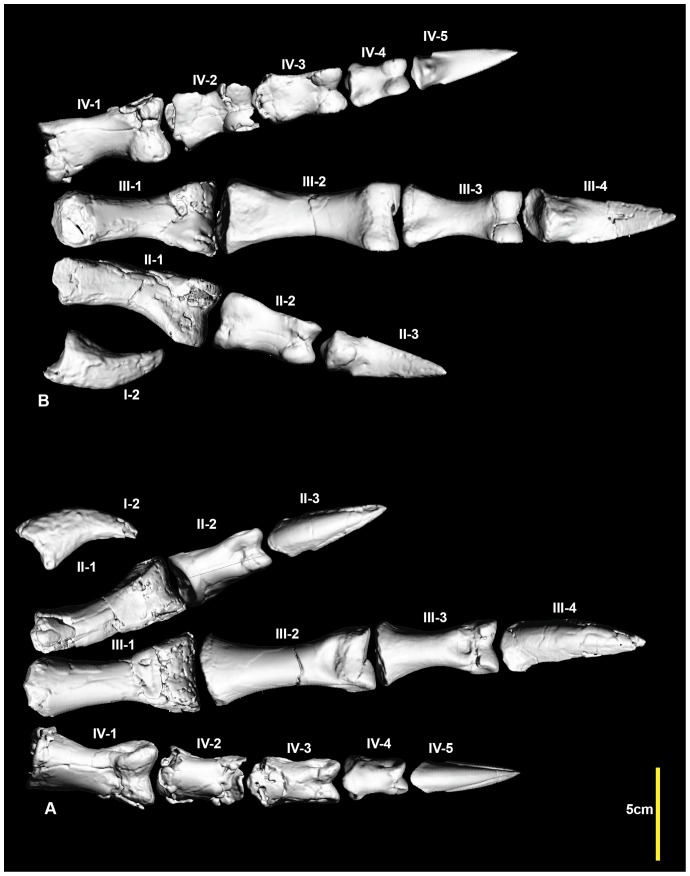 Figure 24