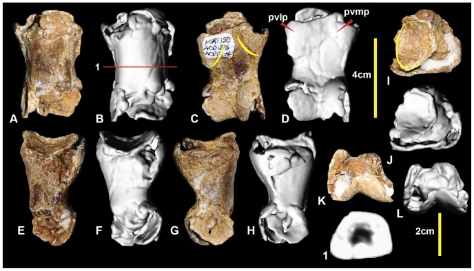 Figure 20