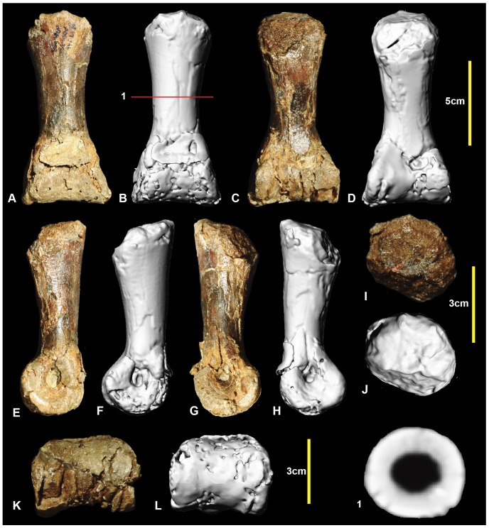 Figure 15