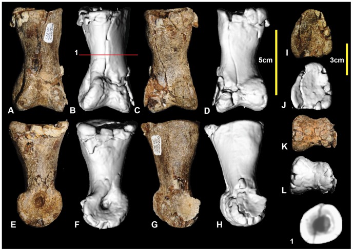 Figure 19