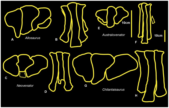 Figure 26