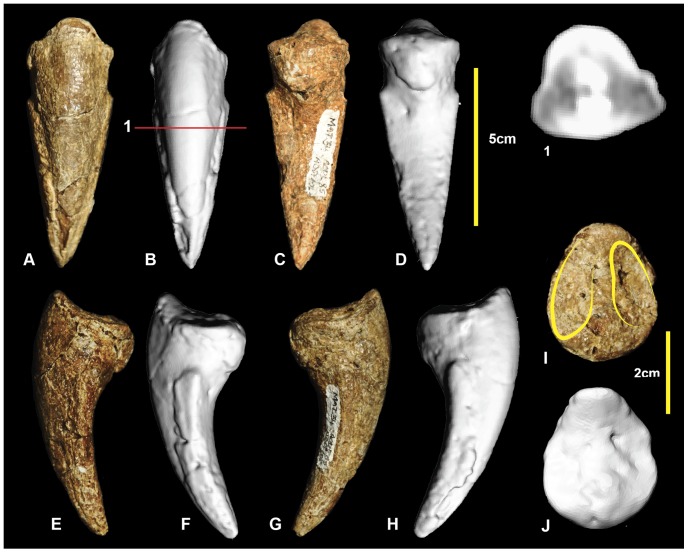 Figure 14