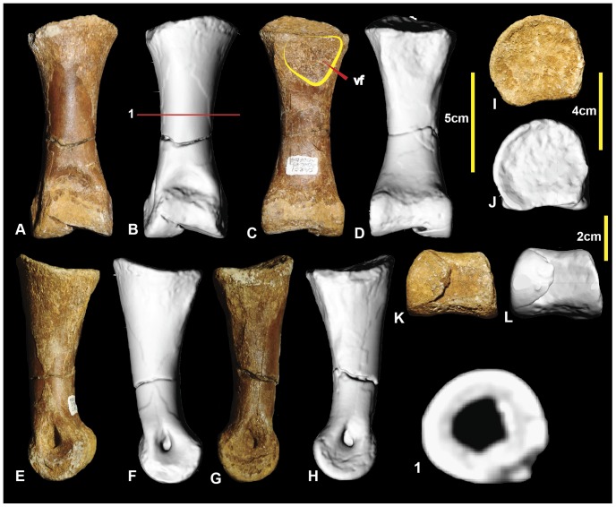 Figure 16