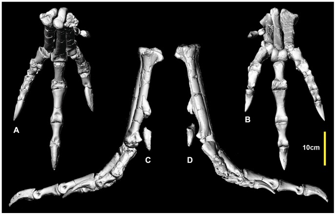 Figure 25