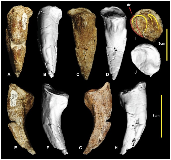 Figure 18