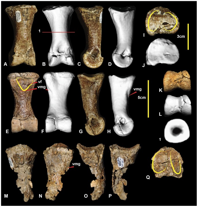 Figure 17