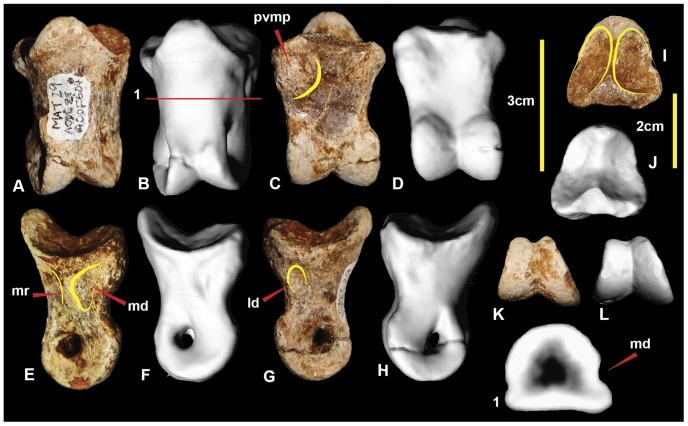 Figure 22