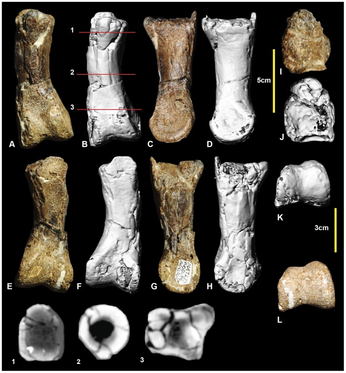 Figure 12