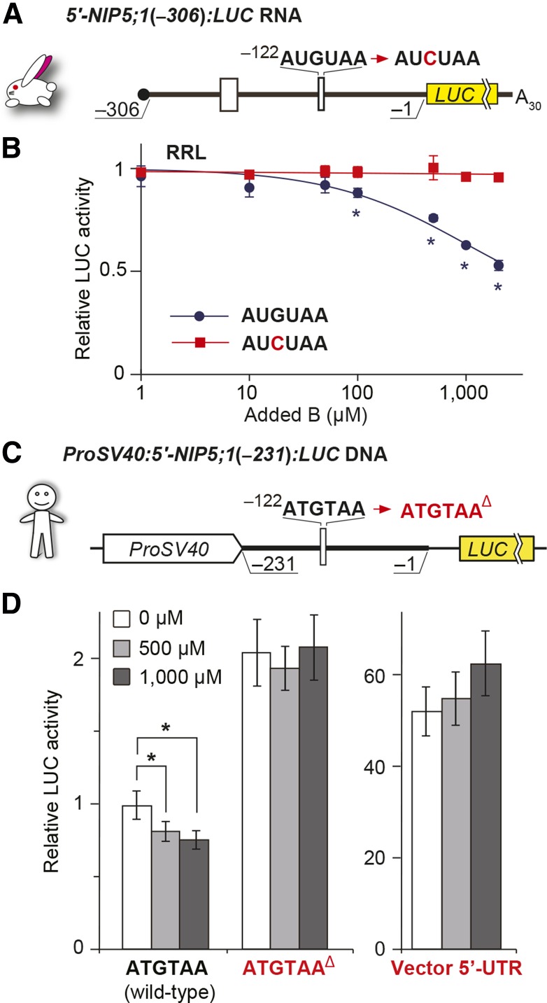 Figure 10.