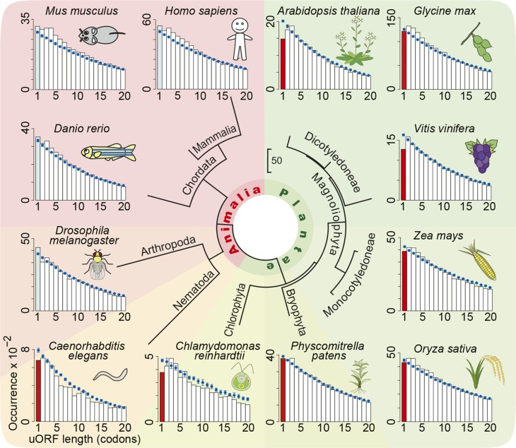 Figure 11.