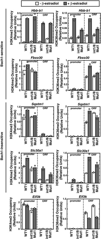 Figure EV3