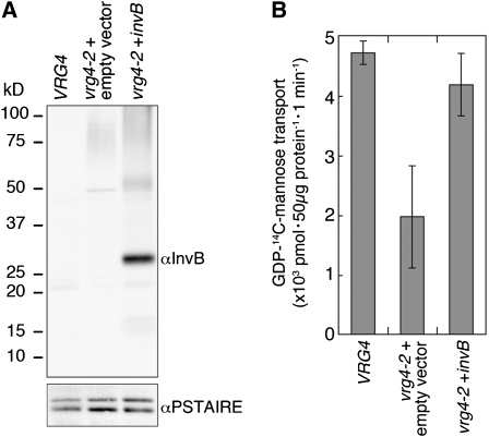 Figure 3.