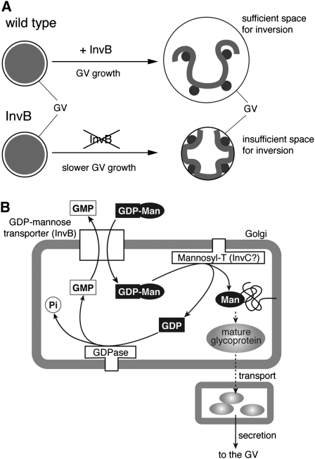 Figure 7.