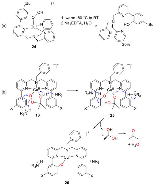 Figure 23