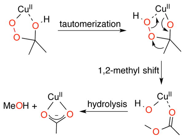 Figure 24