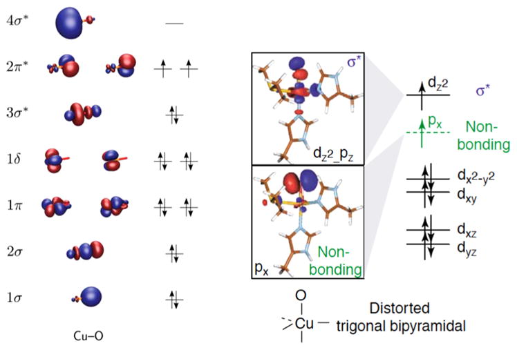 Figure 30