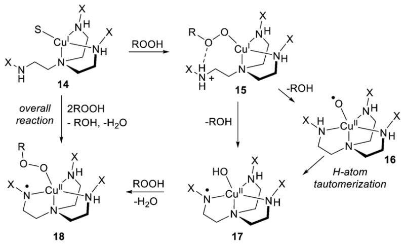 Figure 19