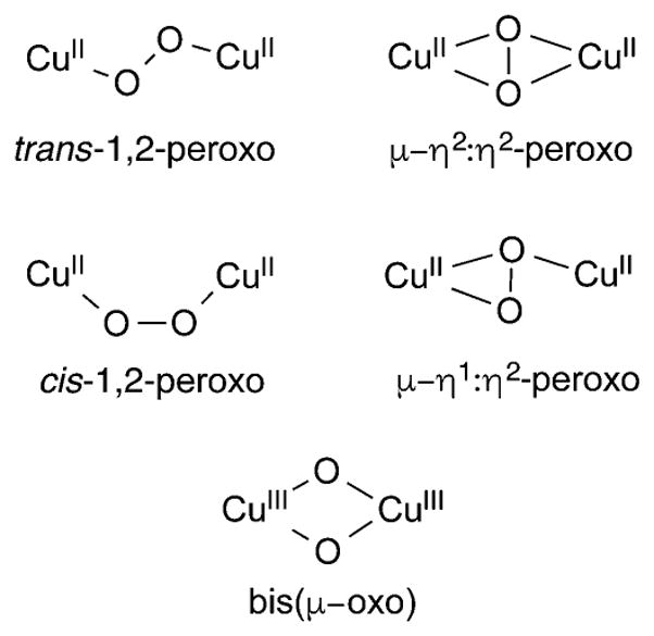 Figure 34