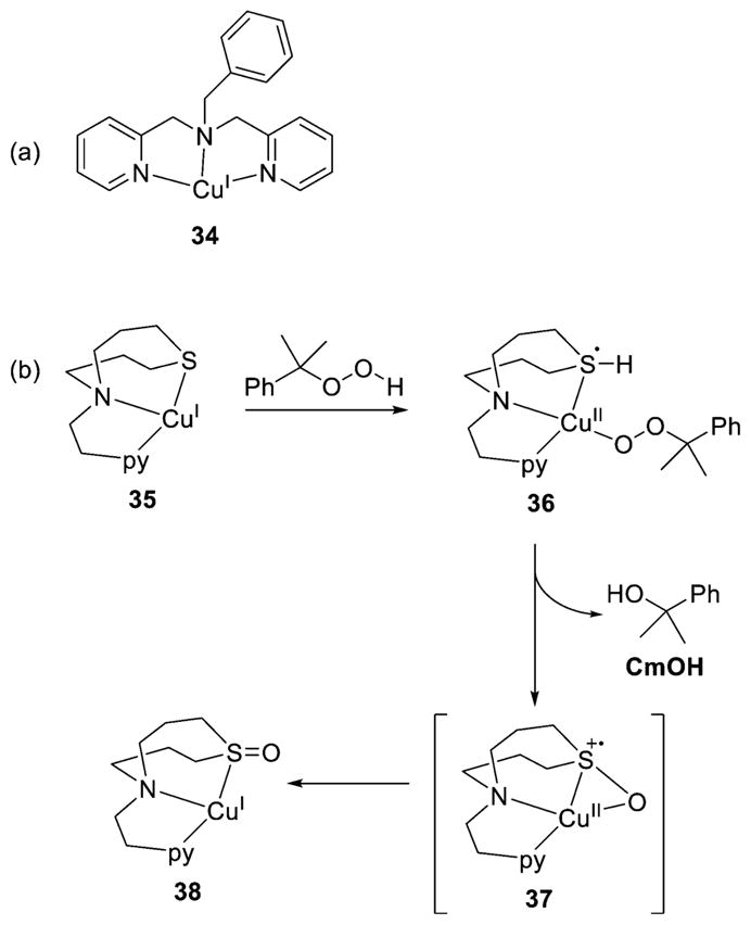 Figure 29