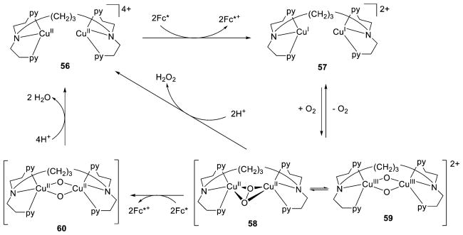 Figure 41