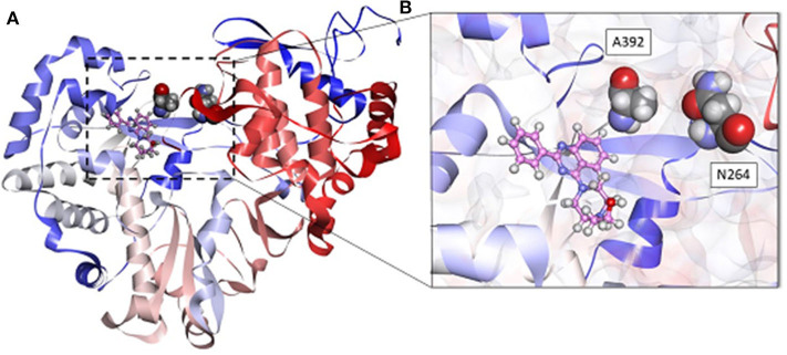 Figure 5