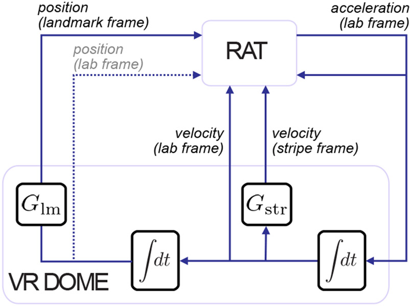 Figure 5: