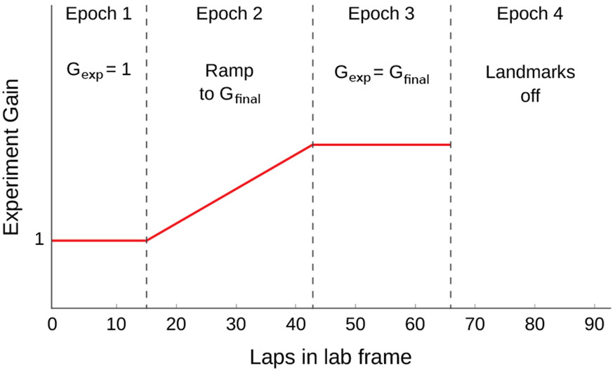 Figure 4: