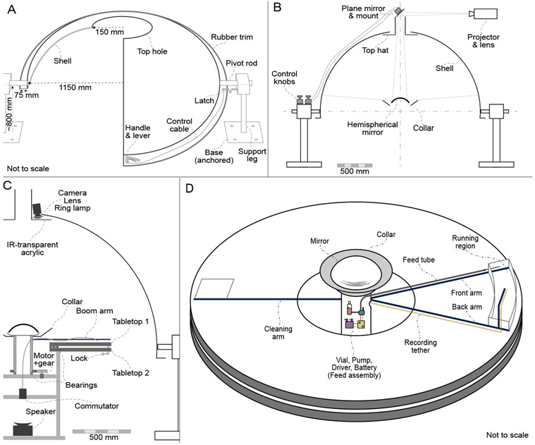 Figure 2: