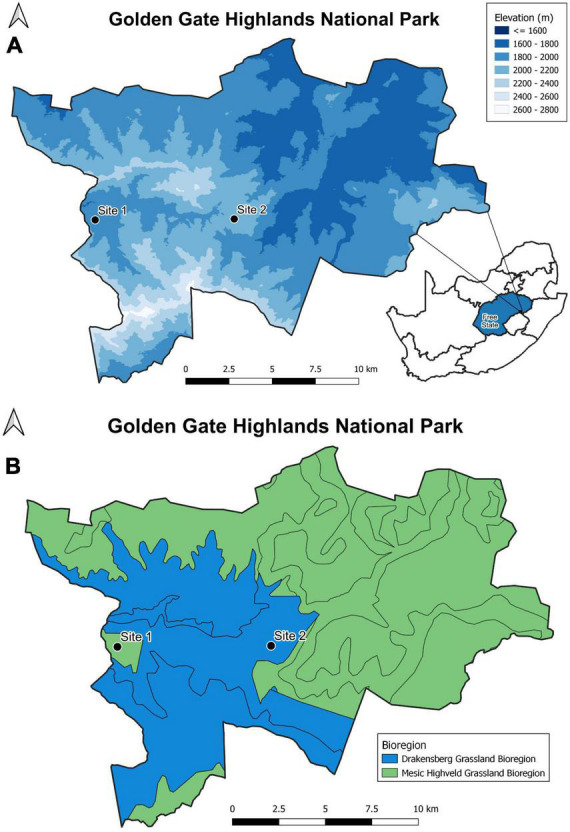 FIGURE 1