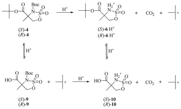 Scheme 2