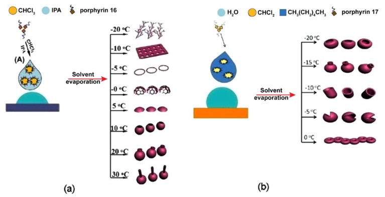 Figure 20