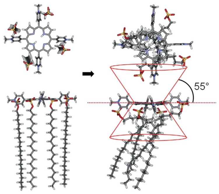 Figure 13