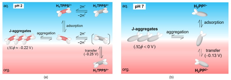 Figure 21