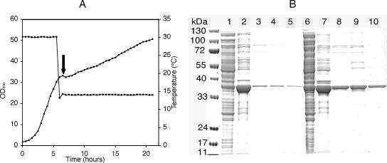 FIG. 5.