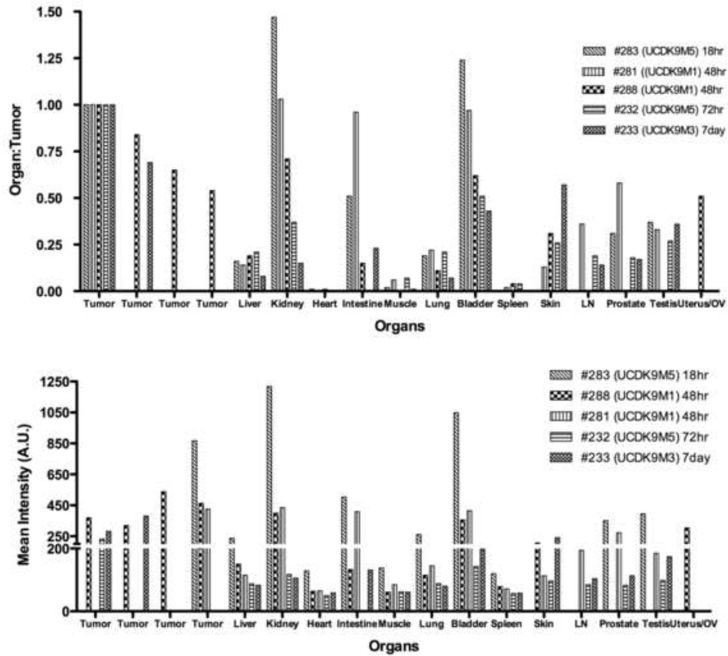 Figure 4