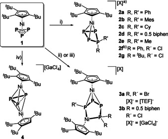 Scheme 2