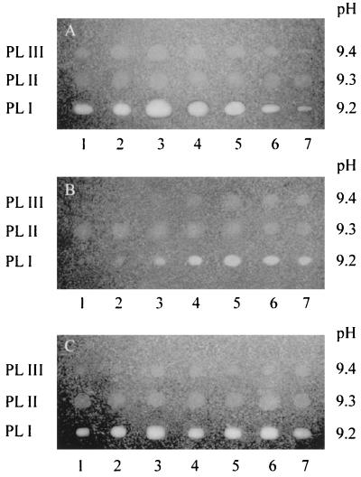 FIG. 6