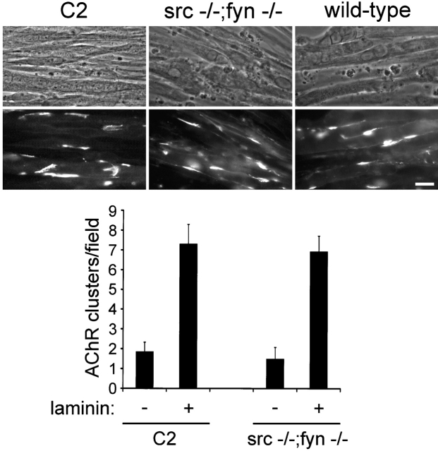 Figure 9.