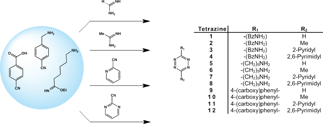 Scheme 1