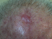 Fig 7