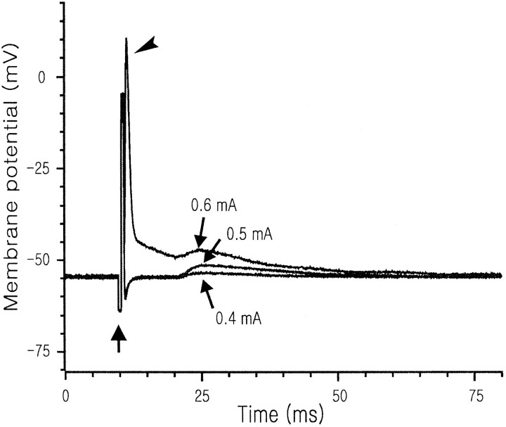 Fig. 1.