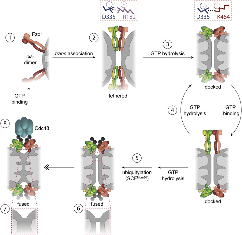 Figure 5.