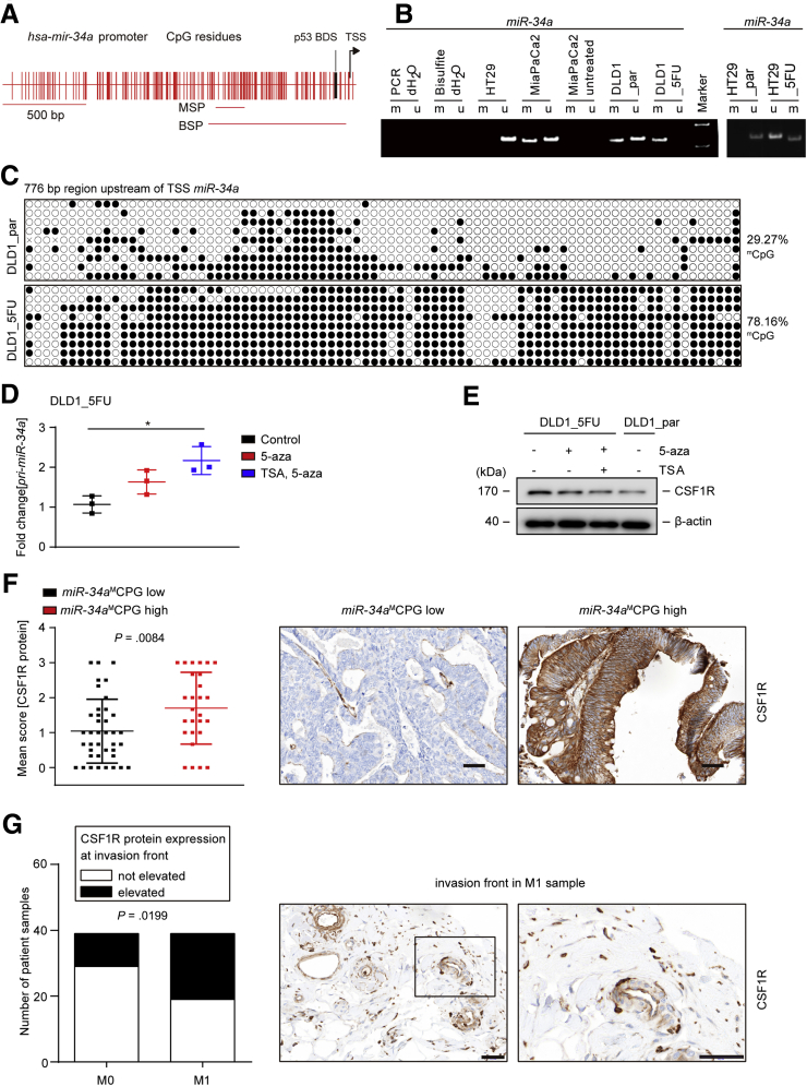 Figure 12